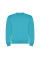Реглан Clasica 280 ТМ Roly