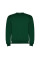 Реглан Clasica 280 ТМ Roly