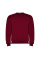 Реглан Clasica 280 ТМ Roly